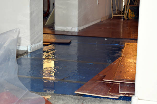 Professional Sewage Cleanup technician working in Worthington, IN